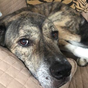 Meet your Posher, Cynthea